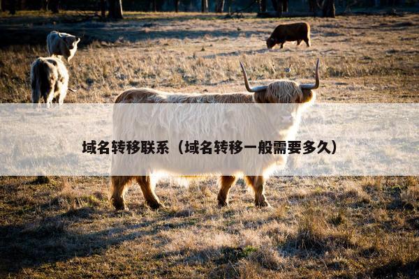 域名转移联系（域名转移一般需要多久）