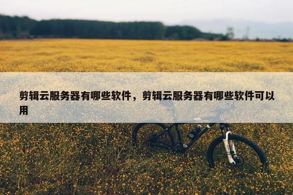 剪辑云服务器有哪些软件，剪辑云服务器有哪些软件可以用