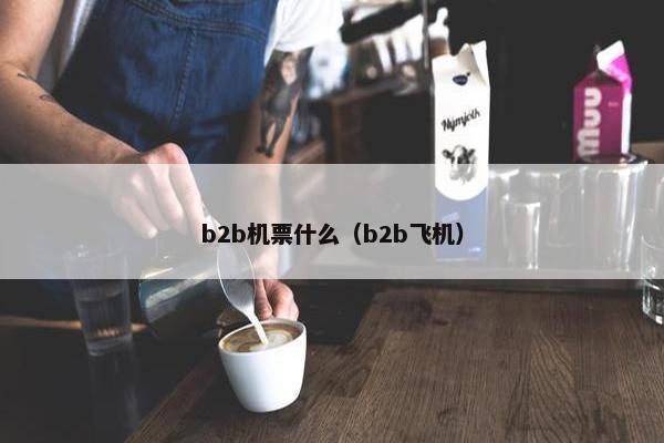 b2b机票什么（b2b飞机）