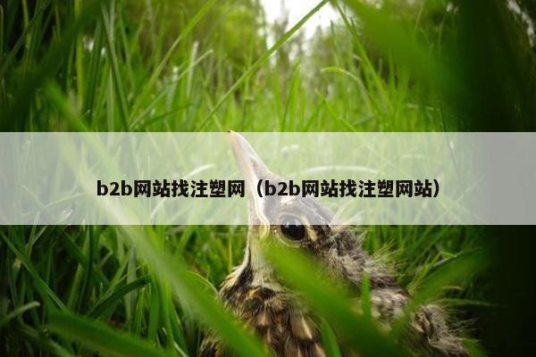b2b网站找注塑网（b2b网站找注塑网站）