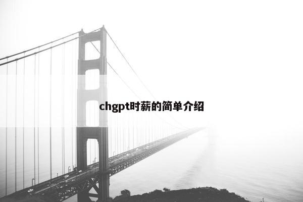 chgpt时薪的简单介绍