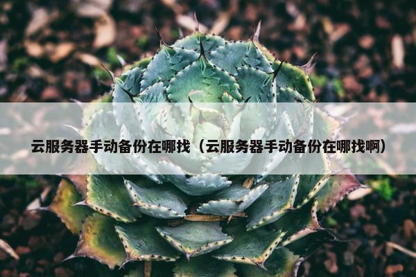 云服务器手动备份在哪找（云服务器手动备份在哪找啊）
