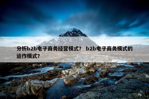 分析b2b电子商务经营模式？ b2b电子商务模式的运作模式？