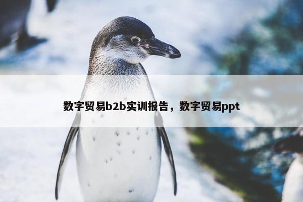 数字贸易b2b实训报告，数字贸易ppt