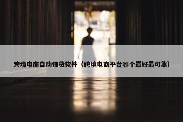 跨境电商自动铺货软件（跨境电商平台哪个最好最可靠）