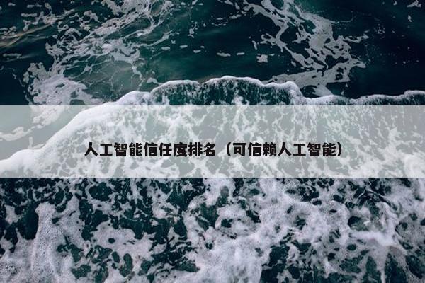 人工智能信任度排名（可信赖人工智能）