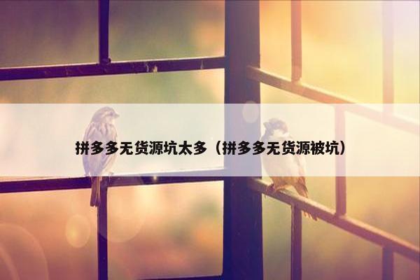拼多多无货源坑太多（拼多多无货源被坑）