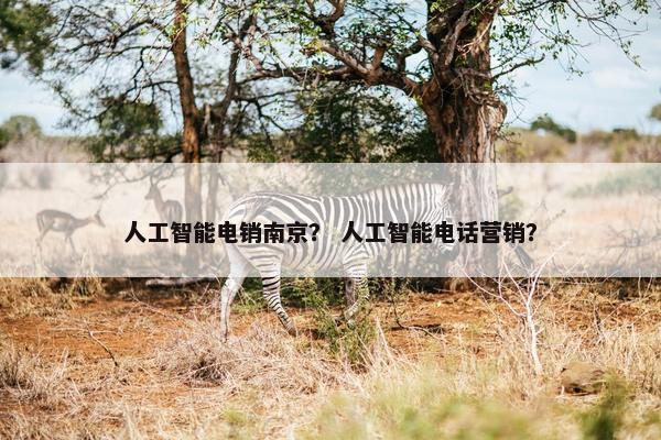 人工智能电销南京？ 人工智能电话营销？