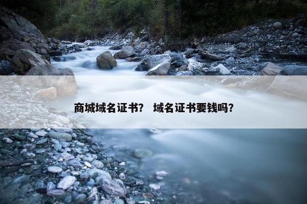 商城域名证书？ 域名证书要钱吗？