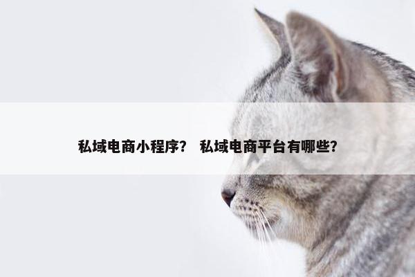 私域电商小程序？ 私域电商平台有哪些？