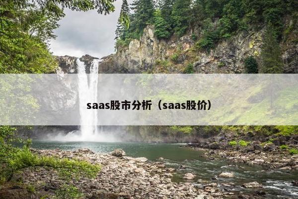 saas股市分析（saas股价）