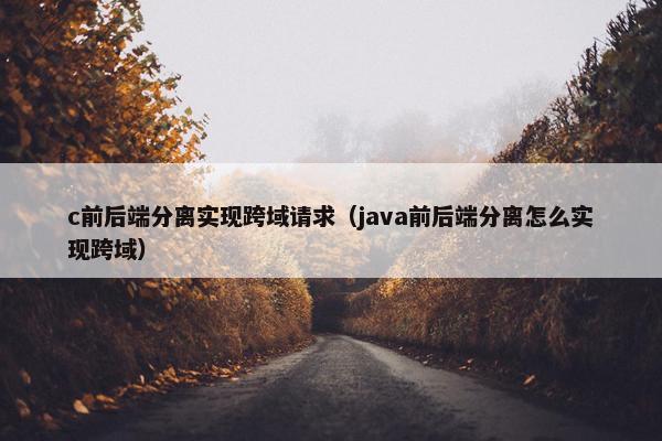 c前后端分离实现跨域请求（java前后端分离怎么实现跨域）