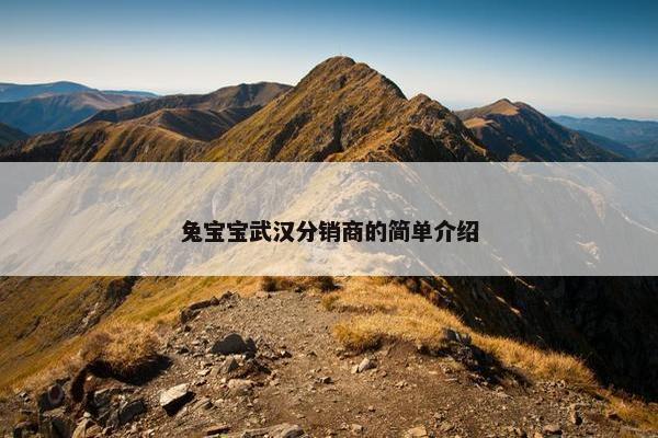 兔宝宝武汉分销商的简单介绍