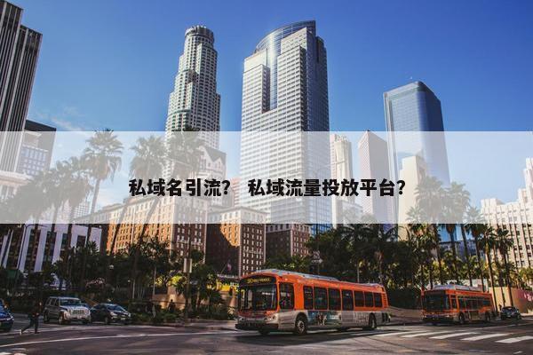 私域名引流？ 私域流量投放平台？