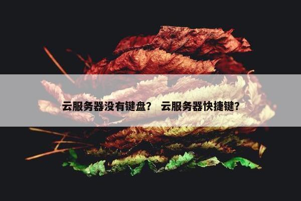 云服务器没有键盘？ 云服务器快捷键？