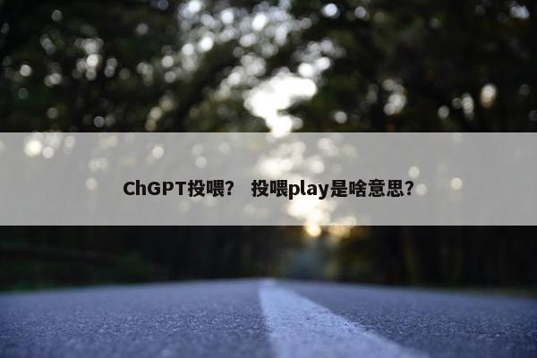 ChGPT投喂？ 投喂play是啥意思？