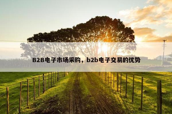 B2B电子市场采购，b2b电子交易的优势