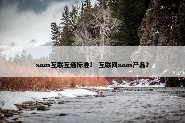 saas互联互通标准？ 互联网saas产品？