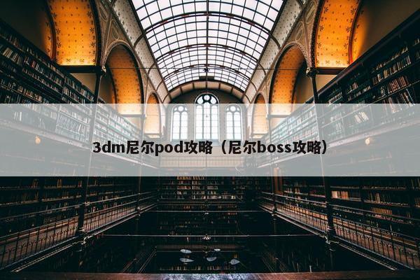 3dm尼尔pod攻略（尼尔boss攻略）