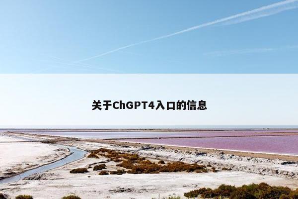 关于ChGPT4入口的信息