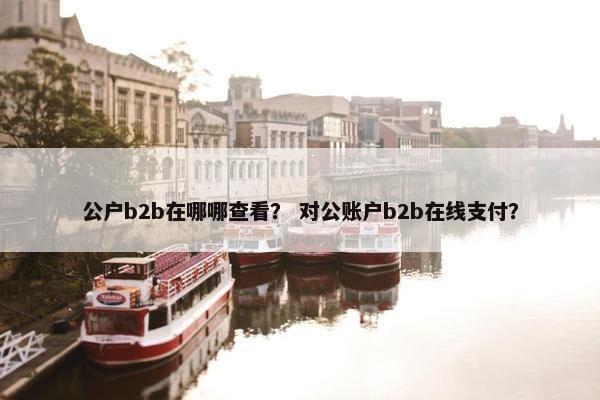 公户b2b在哪哪查看？ 对公账户b2b在线支付？