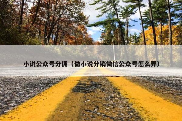 小说公众号分佣（做小说分销微信公众号怎么弄）