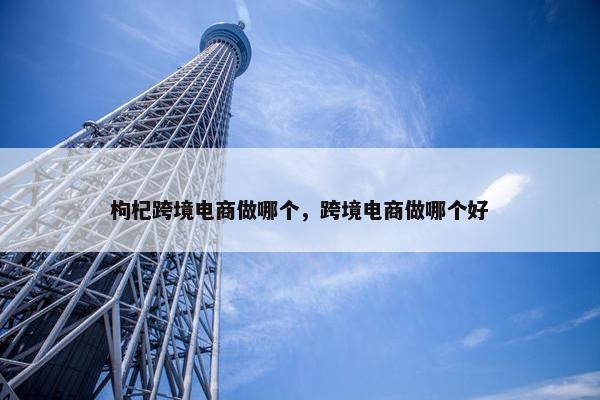 枸杞跨境电商做哪个，跨境电商做哪个好