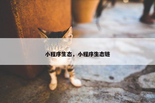 小程序生态，小程序生态链