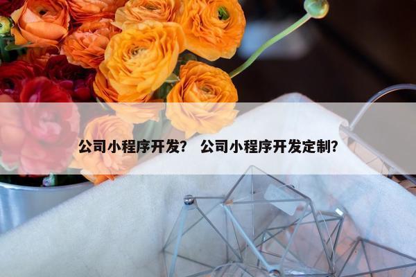 公司小程序开发？ 公司小程序开发定制？