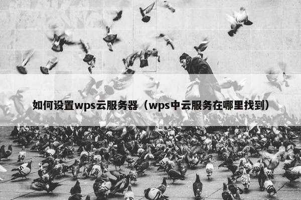 如何设置wps云服务器（wps中云服务在哪里找到）