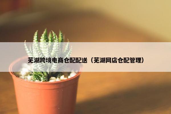 芜湖跨境电商仓配配送（芜湖网店仓配管理）