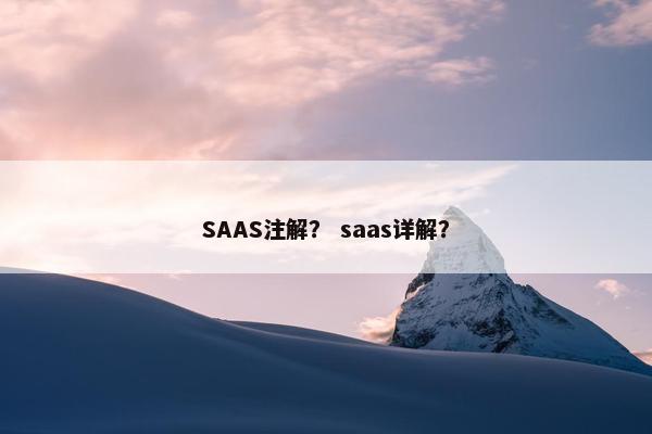 SAAS注解？ saas详解？