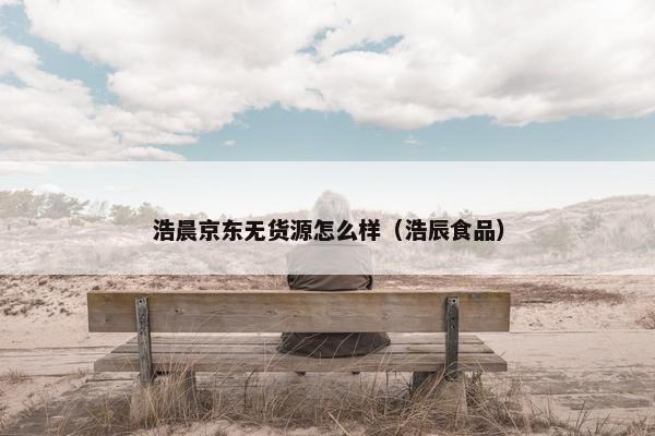 浩晨京东无货源怎么样（浩辰食品）