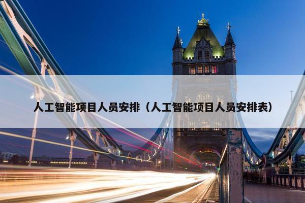 人工智能项目人员安排（人工智能项目人员安排表）