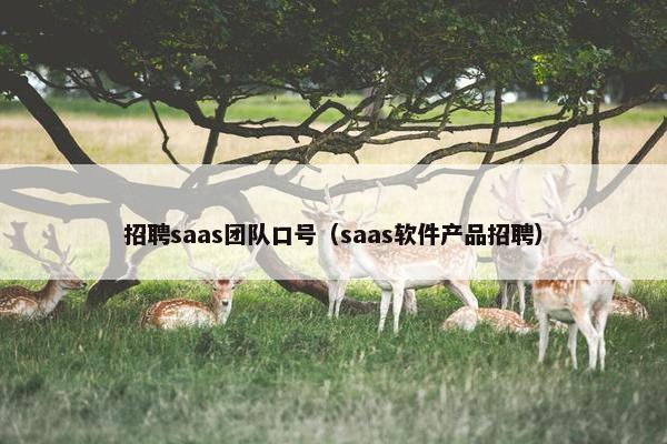 招聘saas团队口号（saas软件产品招聘）