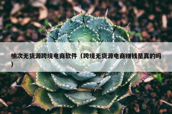 榆次无货源跨境电商软件（跨境无货源电商赚钱是真的吗）