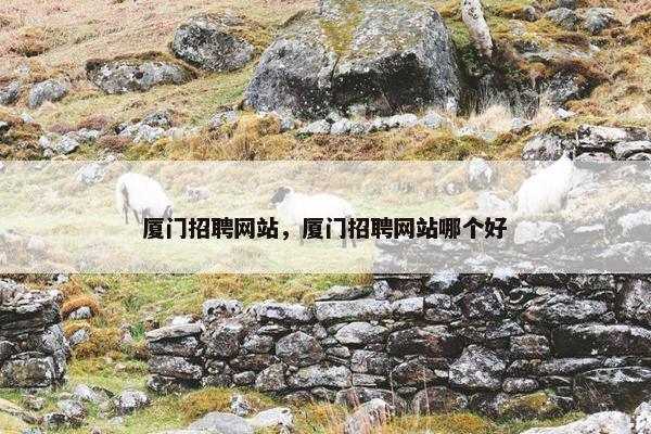 厦门招聘网站，厦门招聘网站哪个好