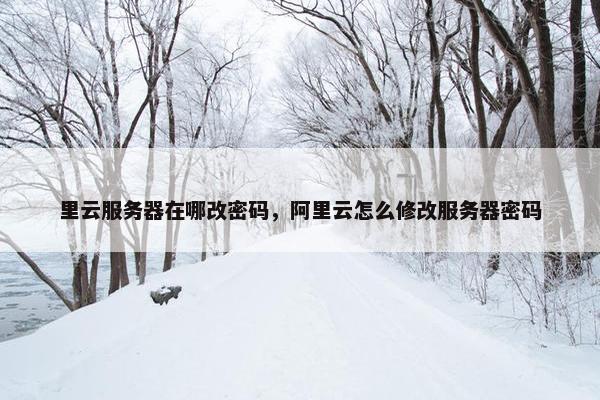 里云服务器在哪改密码，阿里云怎么修改服务器密码