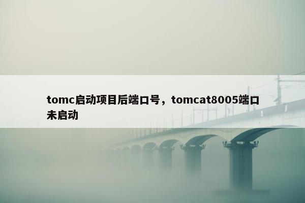 tomc启动项目后端口号，tomcat8005端口未启动