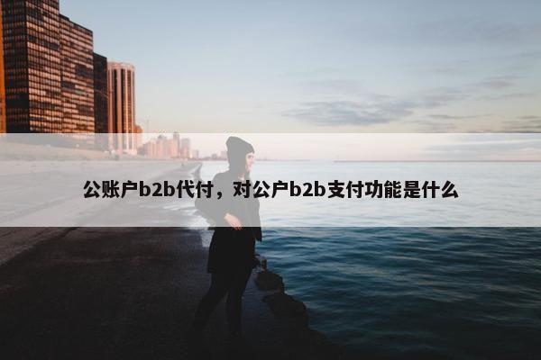 公账户b2b代付，对公户b2b支付功能是什么