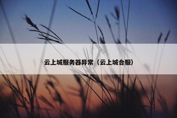 云上城服务器异常（云上城合服）