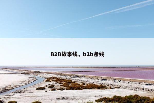 B2B故事线，b2b条线