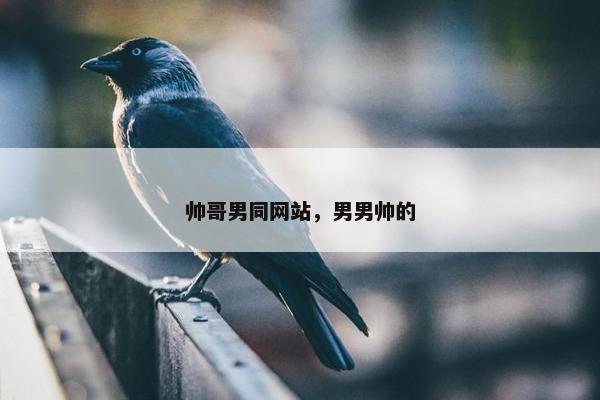 帅哥男同网站，男男帅的
