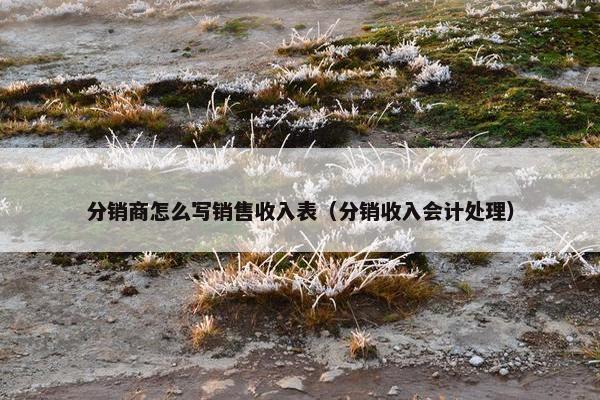 分销商怎么写销售收入表（分销收入会计处理）