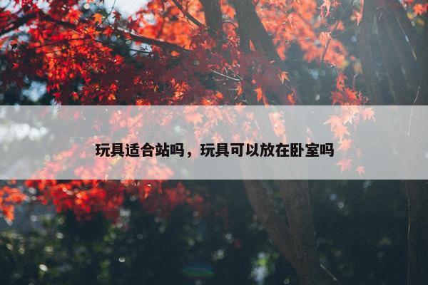 玩具适合站吗，玩具可以放在卧室吗
