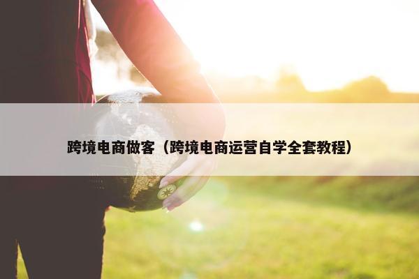 跨境电商做客（跨境电商运营自学全套教程）
