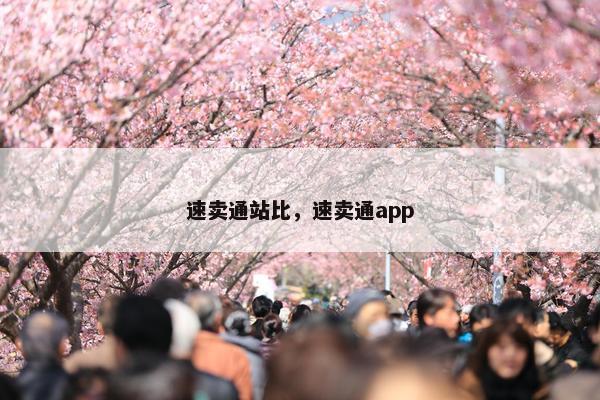 速卖通站比，速卖通app