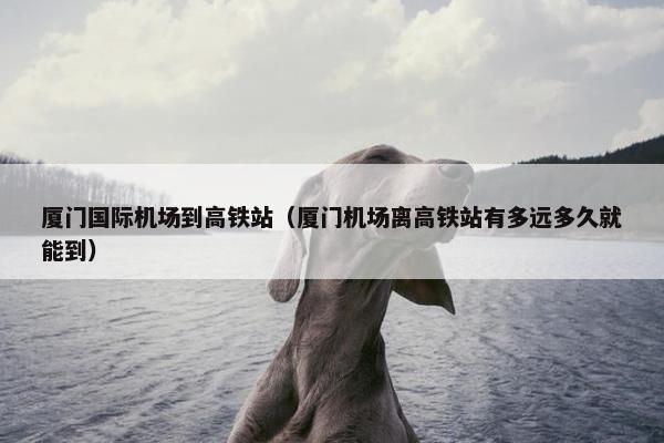厦门国际机场到高铁站（厦门机场离高铁站有多远多久就能到）