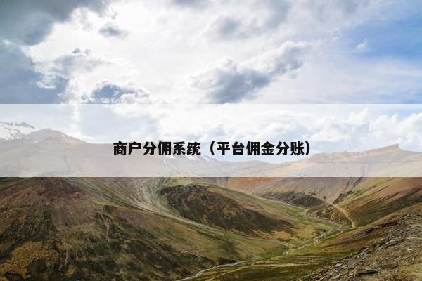 商户分佣系统（平台佣金分账）
