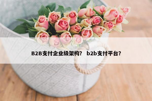 B2B支付企业级架构？ b2b支付平台？